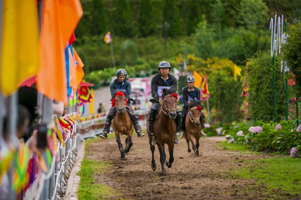 Sun World Fansipan Legend sôi động chào đón lễ hội “Vó ngựa trên mây”