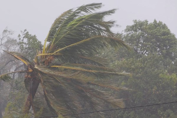 Bão Freddy là cơn bão nhiệt đới kéo dài lâu nhất trong lịch sử