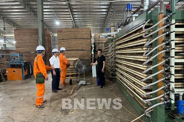 Đồng Nai thúc đẩy giao thông điện, đặt mục tiêu tiết kiệm năng lượng 1-1,5%/năm