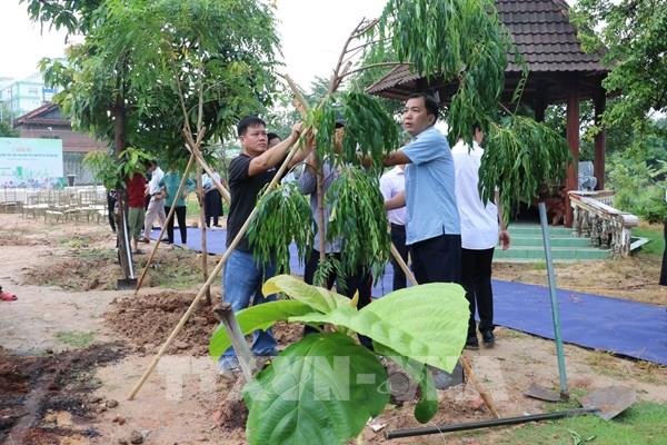 Bình Dương phủ xanh đô thị Thủ Dầu Một