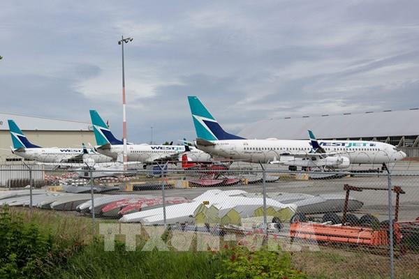 Hãng hàng không lớn thứ hai của Canada tạm dừng nhiều tuyến bay đến Mỹ
