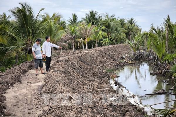 Bến Tre: Xây dựng bờ bao chống ngập gây sạt lở, thiệt hại cho người dân