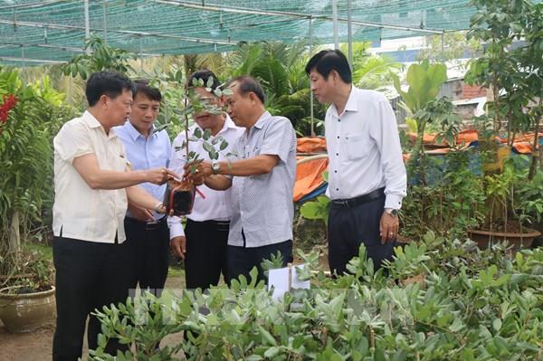 Tạo điều kiện giúp nông dân tham gia mô hình phát triển kinh tế tập thể