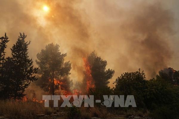 Tổng hợp sự kiện quốc tế nổi bật trong tuần qua ảnh (từ ngày 1-7/7/2024)