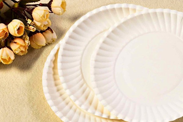 Hoa Kỳ ban hành kết luận sơ bộ điều tra chống trợ cấp đĩa giấy nhập khẩu từ Việt Nam