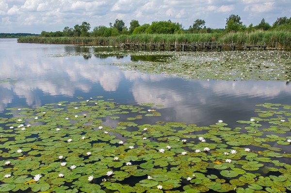 Bảo vệ môi trường: UNESCO công nhận Khu dự trữ sinh quyển đầu tiên tại Bỉ