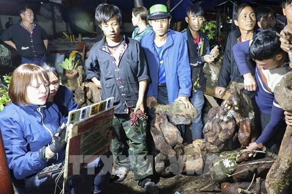 Độc đáo chợ đêm vùng cao Tủa Chùa