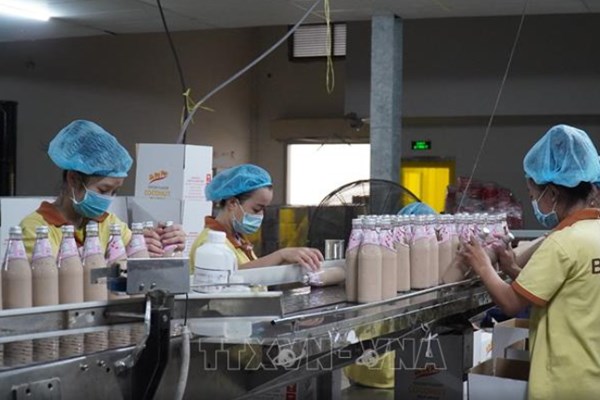 Bến Tre xây dựng 100 doanh nghiệp dẫn đầu