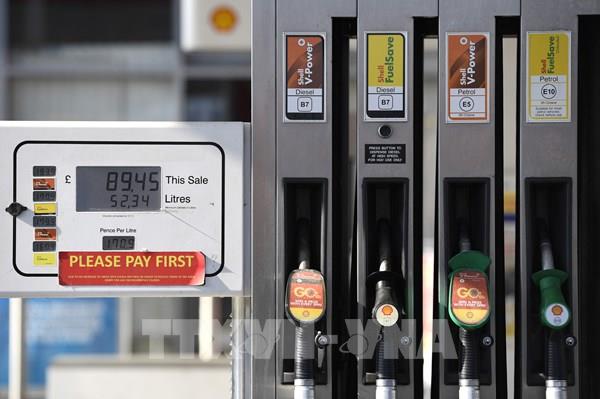 Giá dầu diesel tại châu Âu dự báo tăng từ năm 2027