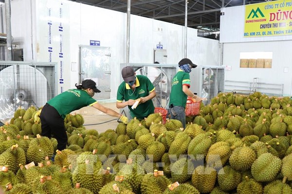 Bộ Nông nghiệp và Phát triển nông thôn hủy bỏ 126 quy chuẩn không phù hợp