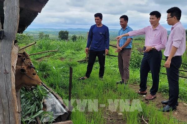 Hơn 500.000 hộ nghèo tại Gia Lai được thụ hưởng vốn tín dụng chính sách