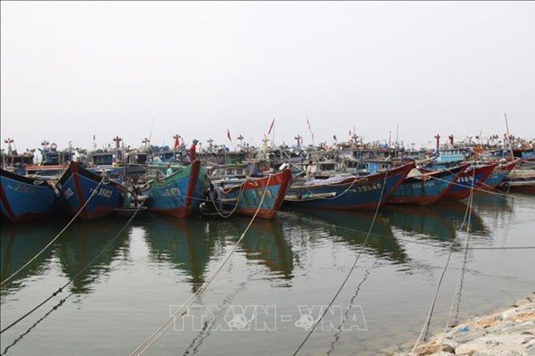 Ứng phó bão số 3: Ninh Bình không cho tàu, thuyền ra khơi từ 7h00 ngày 21/7