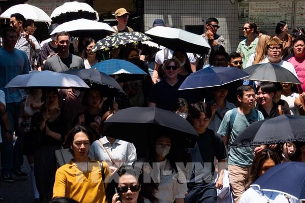 Nở rộ dịch vụ cho thuê ô tại Nhật Bản