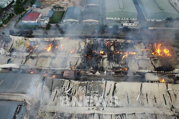 Vụ cháy lớn tại công ty gỗ ở Bình Dương: Sắp xếp, bố trí việc làm cho hàng trăm lao động