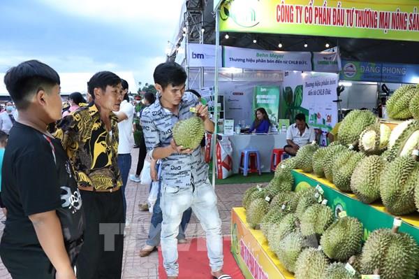 Lễ hội quảng bá sầu riêng Krông Pắc lần thứ II