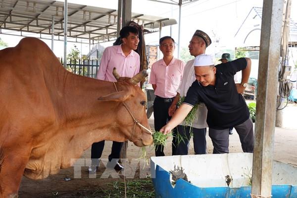 Vốn chính sách xã hội - Bài 1: Đòn bẩy để người nghèo vươn lên