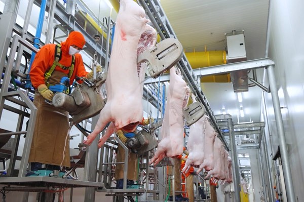 Vẫn khó thu hút đầu tư vào lĩnh vực giết mổ động vật