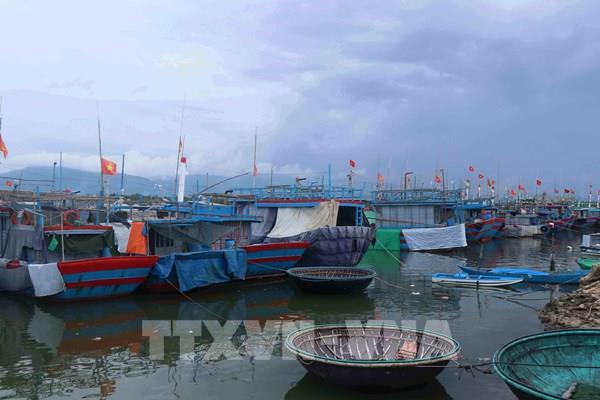 Phê duyệt Kế hoạch thực hiện Hiệp định Trợ cấp Nghề cá 2022 của WTO