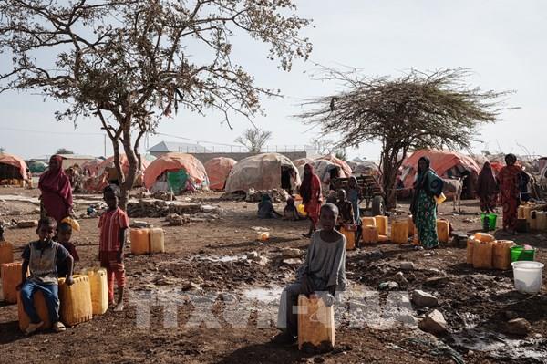 Dự báo vùng Sừng châu Phi sẽ khô hạn hơn