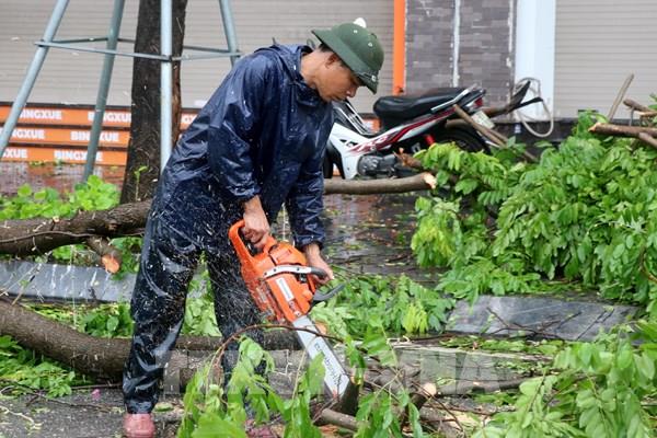 Ảnh hưởng bão số 2: Mưa lớn kéo dài, cây gãy đổ nhiều nơi