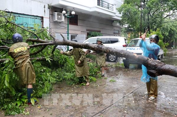 Chỉ đạo, điều hành của Chính phủ, Thủ tướng Chính phủ nổi bật tuần từ 22-26/7