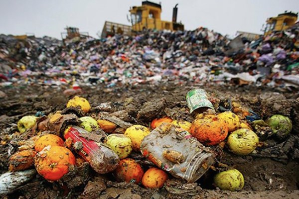 Người Australia lãng phí tới 29 triệu bữa ăn mỗi ngày