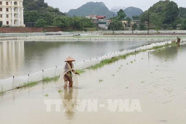 Bắc Bộ và Thủ đô Hà Nội có mưa rất to