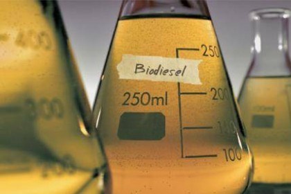 Dầu sinh học nhập khẩu từ Trung Quốc bị áp thuế tại châu Âu