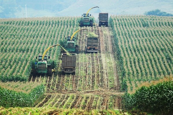 Cần những ’đầu tàu’ dẫn dắt nền nông nghiệp 5.0