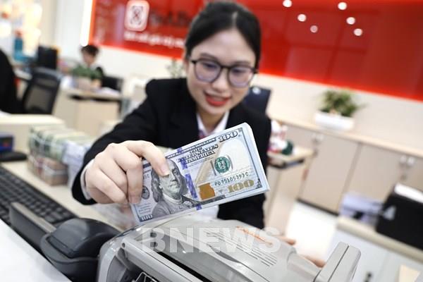 Doanh nghiệp cần có chính sách phòng ngừa rủi ro để ứng phó với biến động tỷ giá