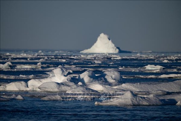 Báo động nhiệt độ bề mặt đại dương cao đột biến