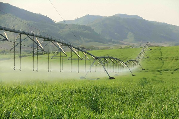 Chia sẻ kinh nghiệm của doanh nghiệp đi đầu trong nông nghiệp công nghệ cao