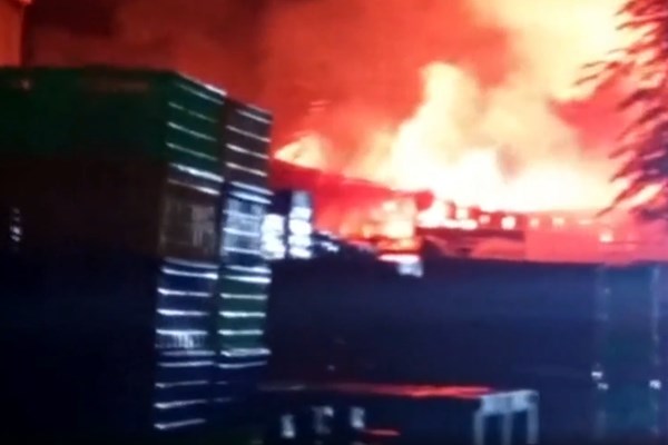 Huy động 11 xe chữa cháy dập lửa tại Công ty chế biến gỗ Cát Đạt