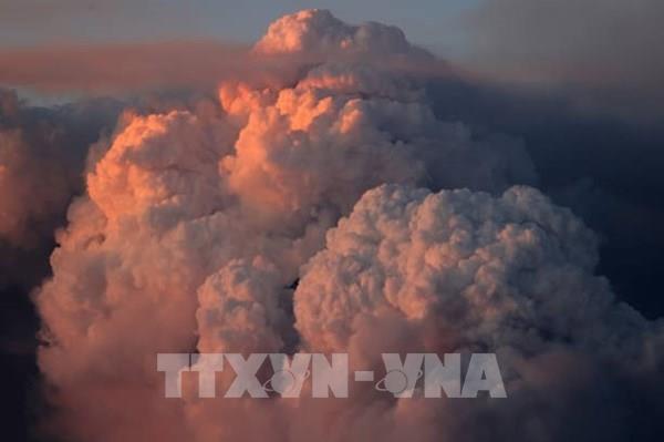 Mỹ: Cháy rừng lan rộng tại phía Bắc bang California