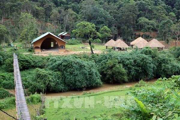 Cần cương quyết xử lý vi phạm về đất đai, xây dựng tại Măng Đen