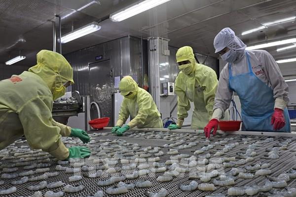 Kinh tế 7 tháng: Nhiều điểm sáng tạo đà tăng trưởng tích cực