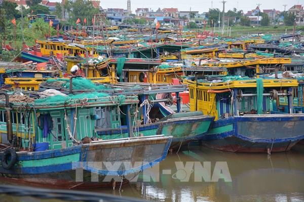 Chống khai thác IUU *Bài 1: Vào cuộc quyết liệt