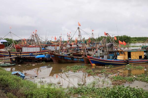 Chống khai thác IUU *Bài 2: Chuyển biến rõ nét