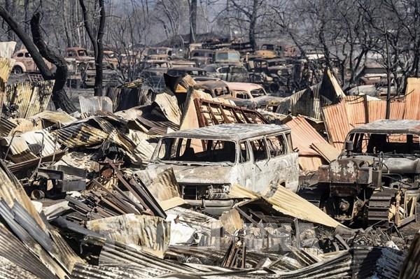 Cháy rừng tàn phá miền Tây nước Mỹ