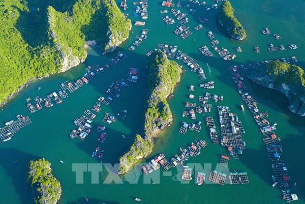 Khởi công dự án khu du lịch, dịch vụ thương mại vịnh trung tâm Cát Bà