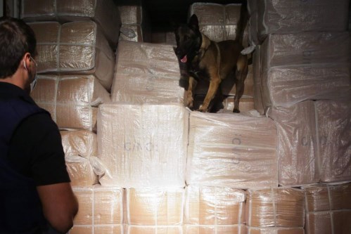 Bỉ: Cảng Antwerp tiếp tục là "điểm nóng" về tội phạm ma túy