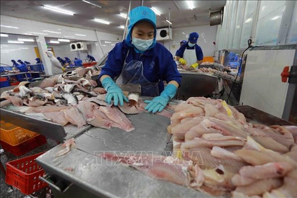 Tạo đà cho xuất khẩu thủy sản năm 2025 tăng trưởng từ 10-15%