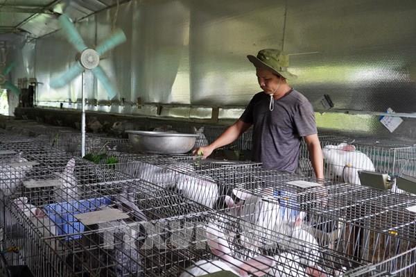 Trên 59.000 hộ thoát nghèo từ dòng vốn tín dụng chính sách