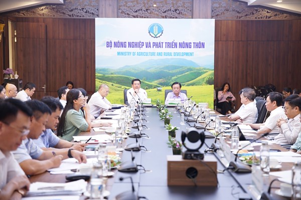 Đề xuất thành lập Hội đồng lúa gạo quốc gia