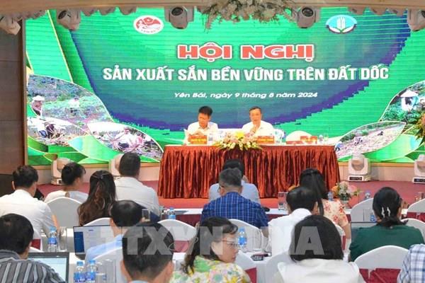 Xây dựng quy trình sản xuất sắn trên đất dốc phù hợp với điều kiện các tỉnh phía Bắc