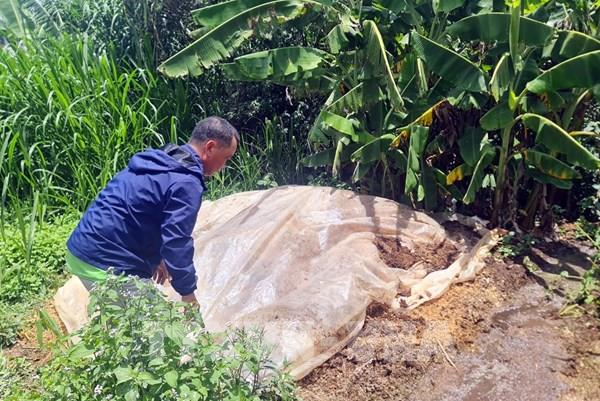 Chưa xác định được nguyên nhân gây bệnh tiêu chảy trên đàn bò sữa