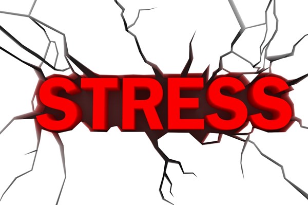 Stress có thể làm suy yếu hệ miễn dịch