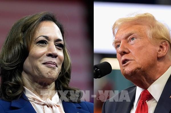 Bầu cử Mỹ 2024: Ông Trump mất 4 điểm tại 3 bang trọng yếu trong các cuộc thăm dò dư luận