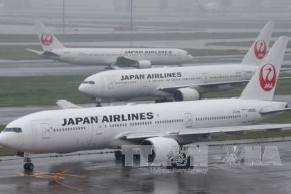 Nhật Bản hủy nhiều chuyến bay do ảnh hưởng bão Maria