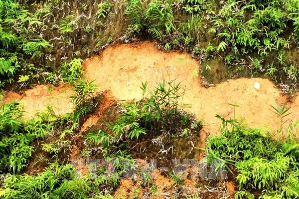 Nguy cơ sạt lở lớn, tạm thời dừng lưu thông qua khu vực dốc Đỏ, huyện Tuần Giáo (Điện Biên)